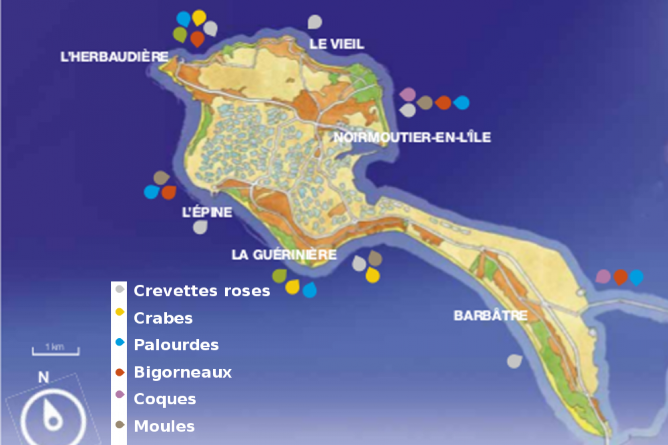 noirmoutier carte